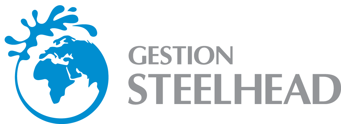 Gestion Steelhead Inc.
